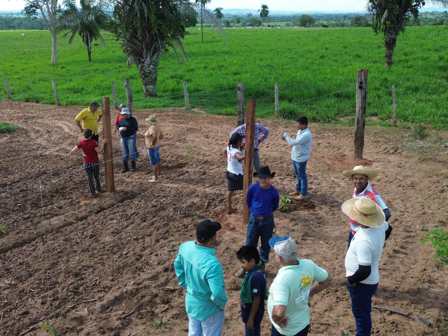 Oficina de campo sobre sistemas agroflorestais com agricultores e técnicos do CTA