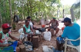 Fortalecimento do extrativismo no Cerrado